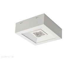 Аварийный светодиодный светильник Kanlux TRIC POWERLED NT 18643
