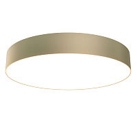 Потолочный светодиодный светильник Maytoni Zon C032CL-L48MG3K
