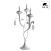 Настольная лампа Arte Lamp MONTMARTRE A3239LT-3WH