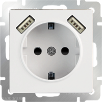 Розетка с заземлением, шторками и USBх2 (белая) Werkel WL01-SKGS-USBx2-IP20