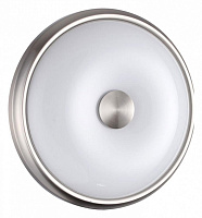 Настенно-потолочный светильник Odeon Light PELOW 4957/2