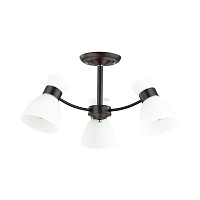 Люстра потолочная LUMION WILMA 4534/3C