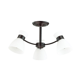 Люстра потолочная LUMION WILMA 4534/3C