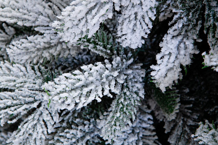 Ель CRYSTAL TREES Власта зеленая с вплетенной гирляндой 180 см KP6018