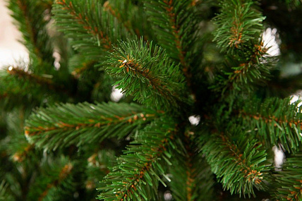 Ель CRYSTAL TREES Праздничная 230 см. KP8723