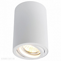 Накладной светильник Arte Lamp A1560PL-1WH