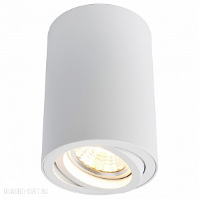 Накладной светильник Arte Lamp A1560PL-1WH