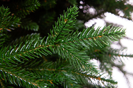 Ель CRYSTAL TREES Усадебная 150 см KP5150