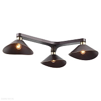 Люстра потолочная Lussole Loft LSP-9534