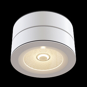 Накладной светодиодный светильник Maytoni Treviso C023CL-L20W4K