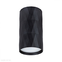 Накладной светильник Arte Lamp FANG A5557PL-1BK