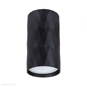 Накладной светильник Arte Lamp FANG A5557PL-1BK