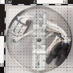 Люстра потолочная CITILUX Диез CL111160