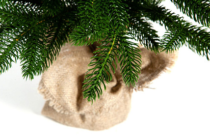 Ель CRYSTAL TREES ОЛИВИЯ 60 см. KP2360