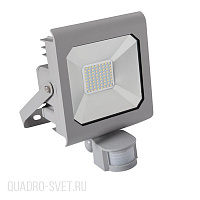 Прожектор уличный с датчиком движения Kanlux ANTRA SE 25582
