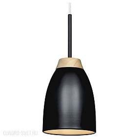 Подвесной светильник LOFT IT Watchman LOFT4402A-BL
