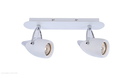 Спот Arte Lamp Atlantis A4004AP-2WH