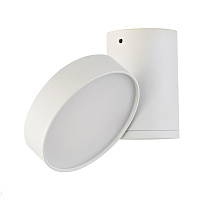 Накладной светодиодный светильник Donolux Moon DL18811/23W White R Dim