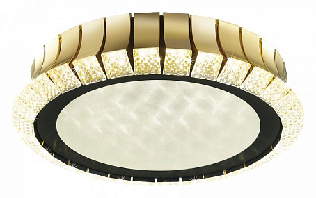 Потолочная светодиодная люстра Odeon Light ASTURO 4994/75L