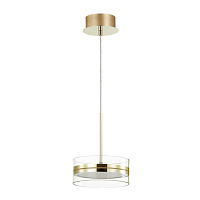 Светодиодный подвесной светильник Odeon Light AKELA 4729/14L