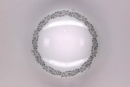 Настенно-потолочный светильник CITILUX Вьюнок CL917010