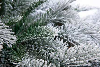 Ель CRYSTAL TREES Гарда заснеженная 180см. KP3018