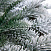 Ель CRYSTAL TREES Гарда заснеженная 180см. KP3018