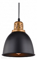 Подвес Arte Lamp EURICA A4245SP-1BK