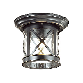 Уличный потолочный светильник Odeon Light SATION 4045/1C