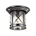 Уличный потолочный светильник Odeon Light SATION 4045/1C