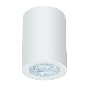 Потолочный влагозащищенный светильник Arte Lamp TINO A1468PL-1WH