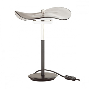Светодиодная настольная лампа Odeon Light FLUENT 4858/10TL