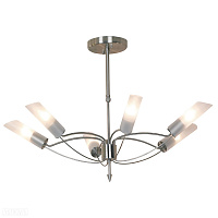 Люстра потолочная LUSSOLE LSA-2813-06