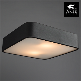 Потолочный светильник Arte Lamp COSMOPOLITAN A7210PL-2BK
