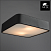Потолочный светильник Arte Lamp COSMOPOLITAN A7210PL-2BK