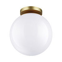 Потолочный накладной светильник Odeon Light BOSCO 4248/1C