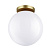 Потолочный накладной светильник Odeon Light BOSCO 4248/1C