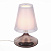 Настольная лампа ST Luce Ampolla SL974.604.01