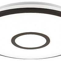 Потолочный светильник CITILUX Старлайт Смарт CL703A35G