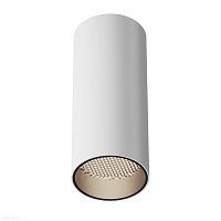 Накладной светодиодный светильник Maytoni FOCUS LED C056CL-L12W4K-W-W