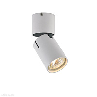 Накладной светильник Vele Luce Carrisi VL8061S21