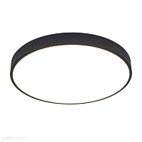Потолочный светодиодный светильник Arte Lamp ARENA A2672PL-1BK
