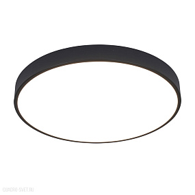 Потолочный светодиодный светильник Arte Lamp ARENA A2672PL-1BK