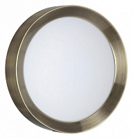 Настенно-потолочный светодиодный светильник Odeon Light LUNOR 4948/30CL