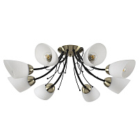 Потолочная люстра LUMION ELIANA 4592/8C