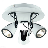 Спот LUSSOLE LOFT LSN-4101-03