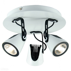 Спот LUSSOLE LOFT LSN-4101-03