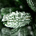 Ель CRYSTAL TREES МОНССЕРАТ в снегу 180 см. KP62180
