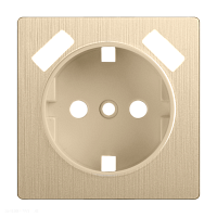 Накладка  для розетки USB (шампань рифленый) Werkel WL10-USB-CP