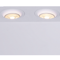 Накладной светильник Maytoni Slim C013CL-02W